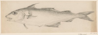 Pescado, a la izquierda de Jean Bernard
