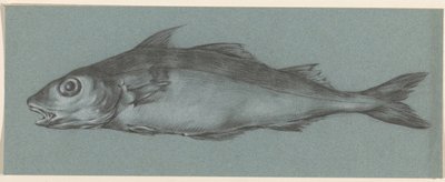 Los peces, a la izquierda de Jean Bernard