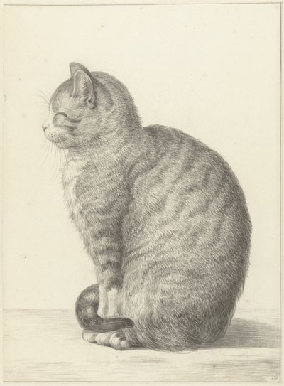 Gato sentado, mirando a la izquierda de Jean Bernard