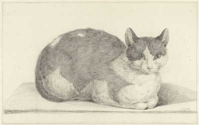 Gato sentado, a la derecha de Jean Bernard