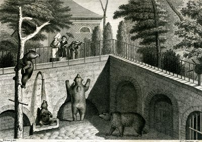 Guarida de osos en un zoo de Jean Charles Werner