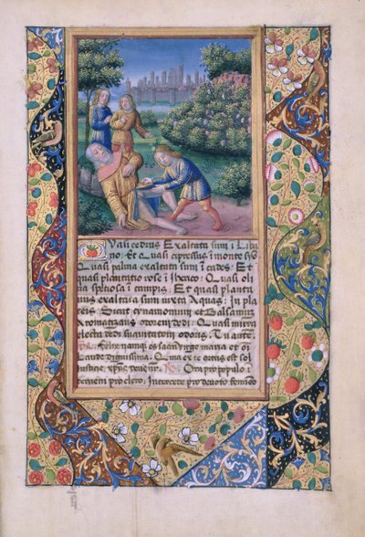 La embriaguez de Noé, del Libro de Horas de Luis de Orleans, 1490 de Jean Colombe