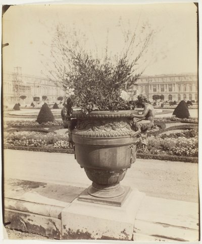 Versailles, Jarrón de Ballin de Jean Eugène Auguste Atget
