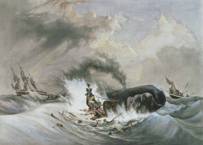 La ballena de Jean Francois (after) Garneray