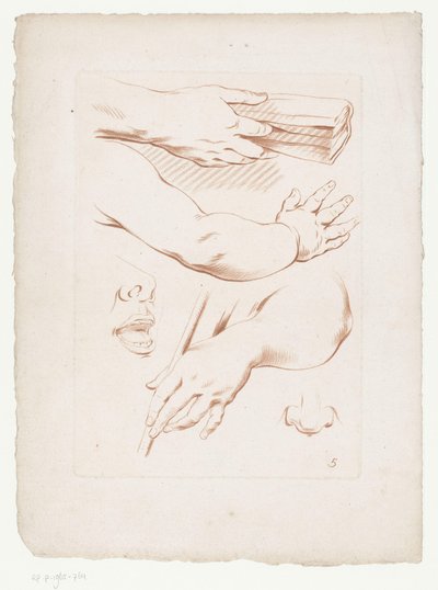 Composición con brazos, nariz y parte de una cara. Composiciones con partes del cuerpo humano (título de serie) de Jean Francois Janinet
