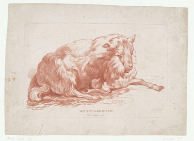 ovejas mentirosas Mouton d
