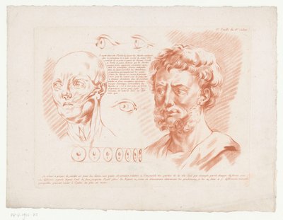 Cabezas y ojos de dos hombres desde diferentes puntos de vista. 3.e Hoja del 8e Cahier. (título en el objeto) Composiciones con partes del cuerpo humano (título de serie) Huitième Cahier de Principes de Design (título de la serie) de Jean Francois Janinet