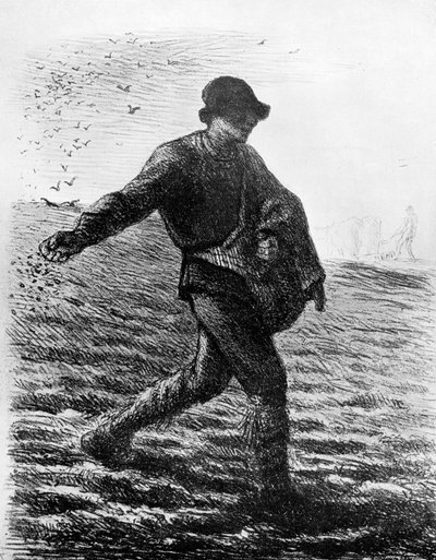 Le Semeur de Jean Francois Millet