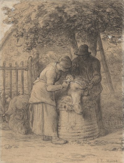 Esquila de ovejas bajo un árbol, c.1854 de Jean Francois Millet