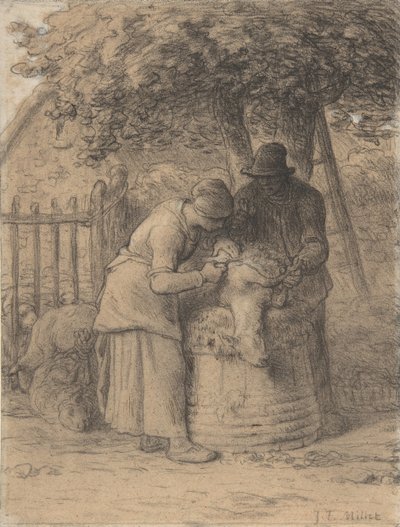 Esquila de ovejas bajo un árbol, ca. 1854 de Jean Francois Millet