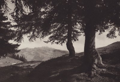 Rigi Staffel, sendero cerca de Staffel (foto b/n) de Jean Gaberell