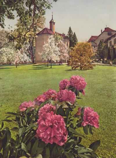 Suiza: Mammern, en el lago de Constanza, en los terrenos del sanatorio (foto en color) de Jean Gaberell