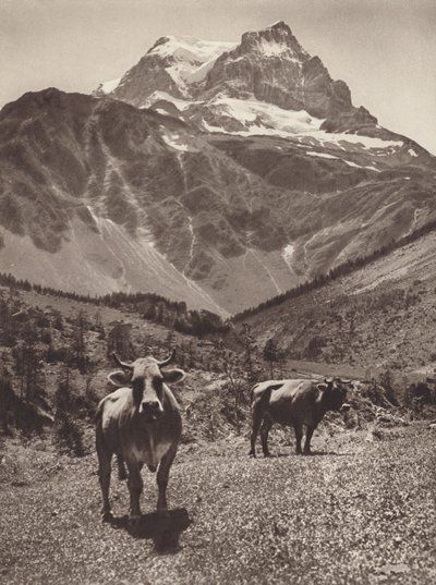 Suiza: El Todi de Jean Gaberell