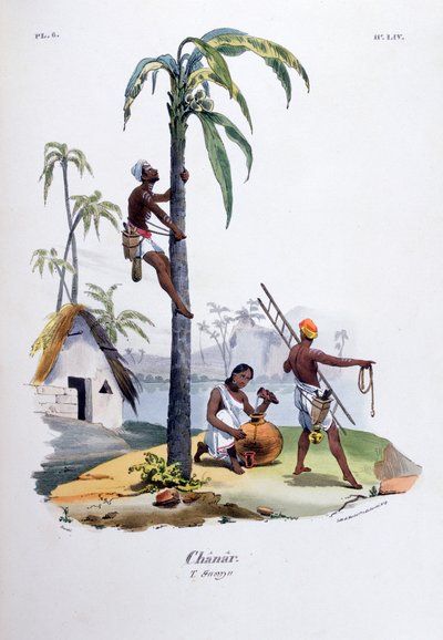 Chanar, 1828 de Jean Henri Marlet