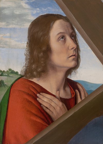 Fragmento de Cristo cargando la cruz: San Juan Evangelista, 150005 de Jean Hey