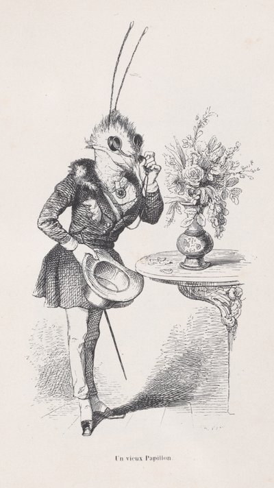 Una vieja mariposa de Escenas de la vida privada y pública de los animales, ca. 1837-47 de Jean Ignace Isidore Gérard