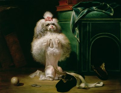 Un perro de la raza Havannah, 1768 de Jean Jacques Bachelier
