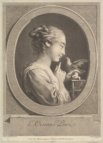 El pájaro domesticado, ca. 1769 de Jean Jacques Flipart