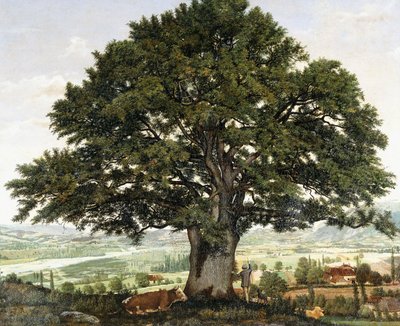 La Llanura de Annecy-Chene el Veterano de los Alpes de Jean Jacques Rousseau