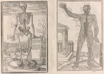 De dissectione partium corporis humani libri tres, 1545 de Jean Jollat