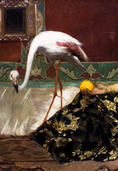 El flamenco rosa (detalle) de Jean Joseph Benjamin Constant