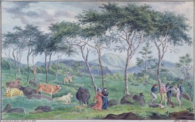 Rebaño de ganado con pastores cerca del río al este de la Isla de la Reunión, octubre de 1812 de Jean Joseph Patu de Rosemont