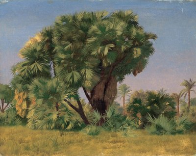 Estudio de palmeras de Jean Leon Gerome