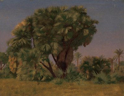 Estudio de Palmeras, probablemente 1868 de Jean Leon Gerome