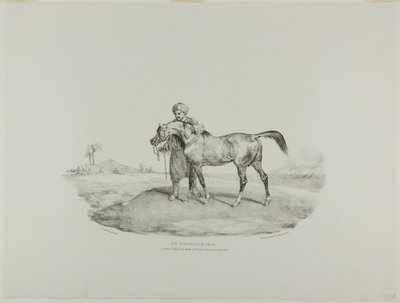 Un caballo árabe, lámina 8 de Various Subjects Drawn from Life and on Stone (The English Suite) de Jean Louis André Théodore Géricault
