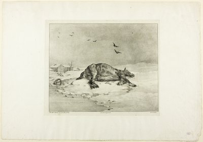 Caballo muerto de Jean Louis André Théodore Géricault