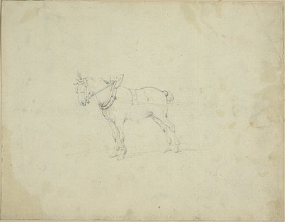 Caballo de tiro de Jean Louis André Théodore Géricault