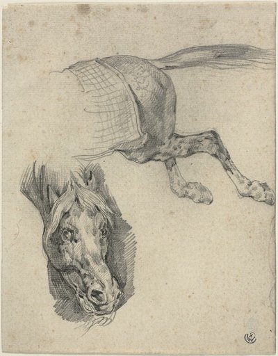 Cabeza y cuartos traseros de un caballo de carreras de Jean Louis André Théodore Géricault