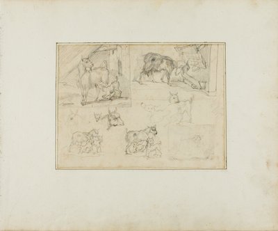 Bocetos de cabras de Jean Louis André Théodore Géricault