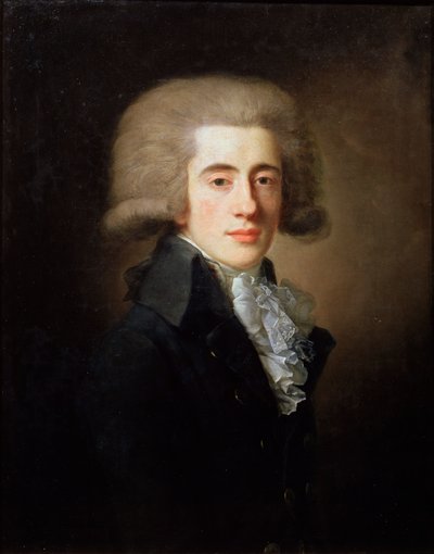 Retrato del vicecanciller Nikita Panin, 1770-1837, 1792 de Jean Louis Voille