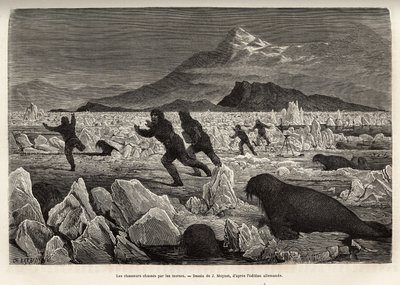 Parte de la tripulación del barco La Germania, en las Islas Clavering, descendieron sobre el hielo para cazar, fueron ellos mismos cazados por morsas que salían del agua, grabado después del dibujo de J. Moynet, ilustrando un viaje al Polo Norte en 1869-18 de Jean Pierre Moynet