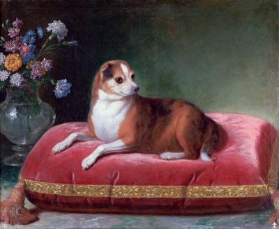 La perra en un cojín, c1694-1735 de Jean Ranc