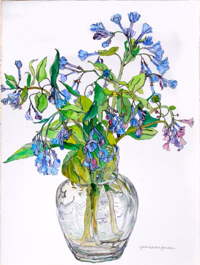 Virginia Blue Bells in Narrow Necked Vase, 2006 (acuarela y tinta sobre papel) de Jean Swan Gordon