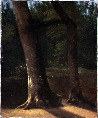 Estudio de árboles, c.1815 de Jean Victor (attr. to) Bertin