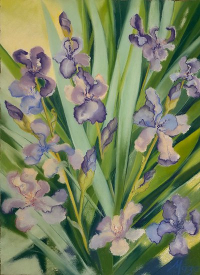  de Jeanne Maze