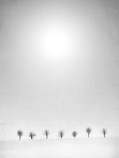  de Jeffrey Hummel