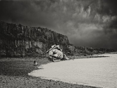 Cabeza de piedra caída de Jeffrey Hummel