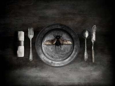 Una inquietante comida a base de escarabajos de Jeffrey Hummel