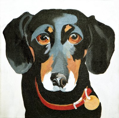 Buster, 2012 (acrílico sobre lienzo) de Jennifer Abbott