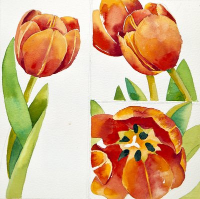 Tres estudios de tulipanes en un seguro, 2013 (acuarela) de Jennifer Abbott