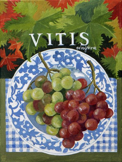 Vitus (uvas), 2014 (acrílico sobre lienzo) de Jennifer Abbott