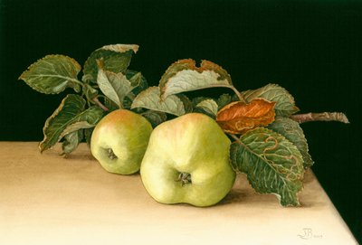 Bramleys de Jenny Barron