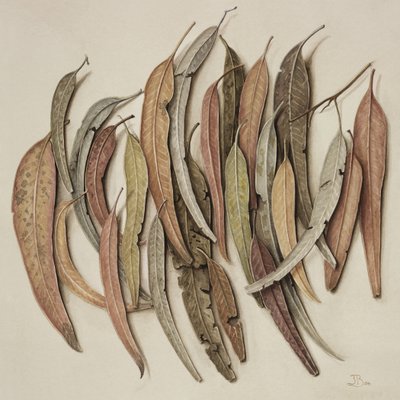 Hojas de eucalipto, 2004 de Jenny Barron