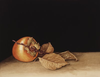 Caqui, 2004 de Jenny Barron