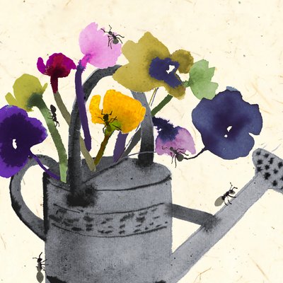 Hormigas en tus plantas (acuarela) de Jenny Frean