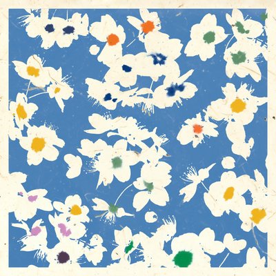 FLOR DE TIERRA de Jenny Frean
